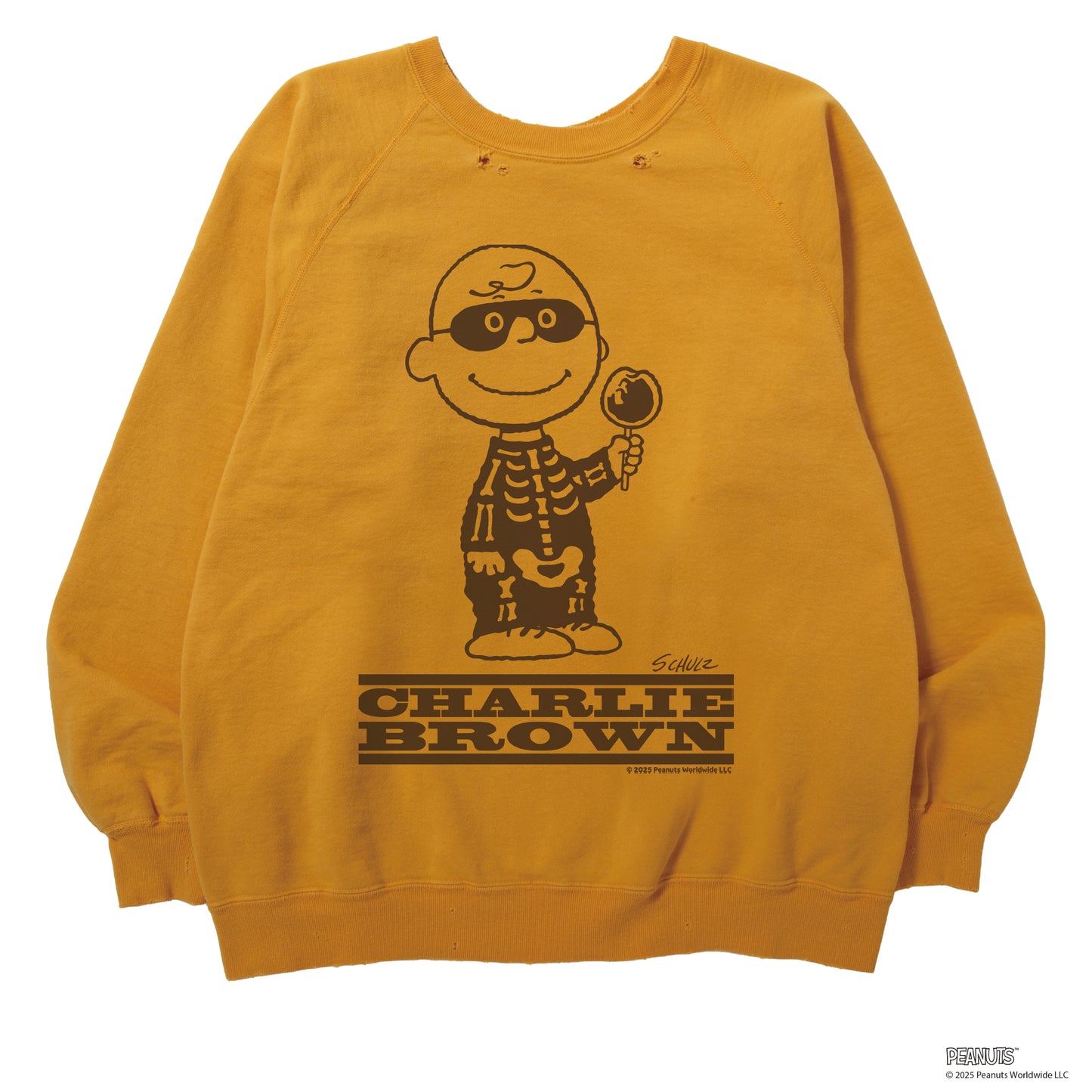 CHARLIE BROWN CREW