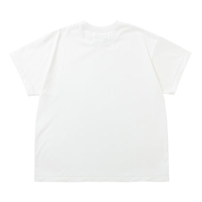 HEAVY PLATING ICE PACK T